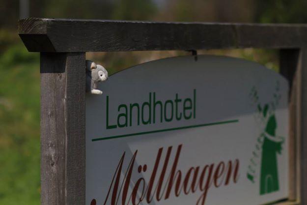 Landhotel Moellhagen Schulp bei Nortorf Exteriér fotografie